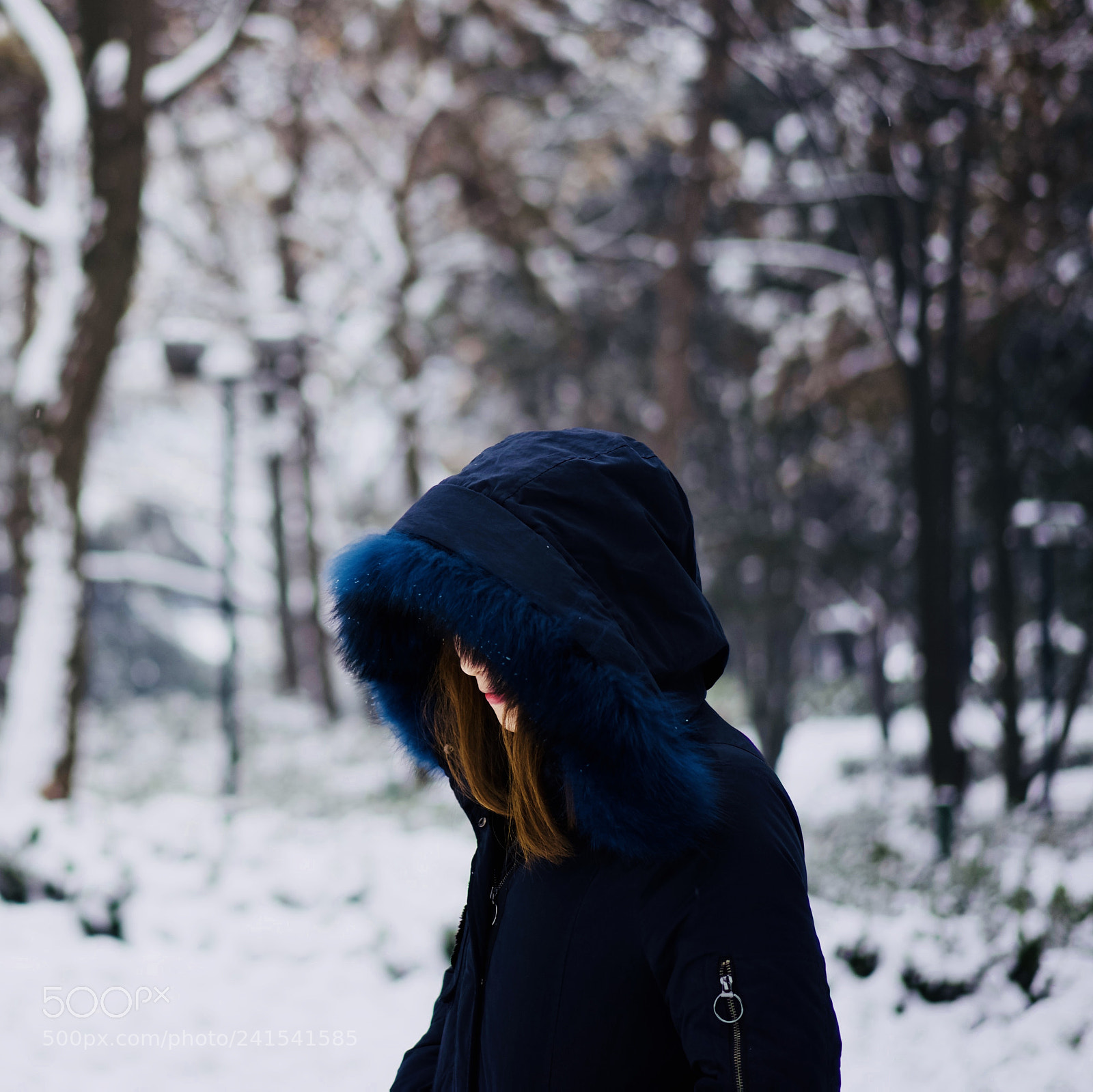 Sony a7 II sample photo. Snow photography