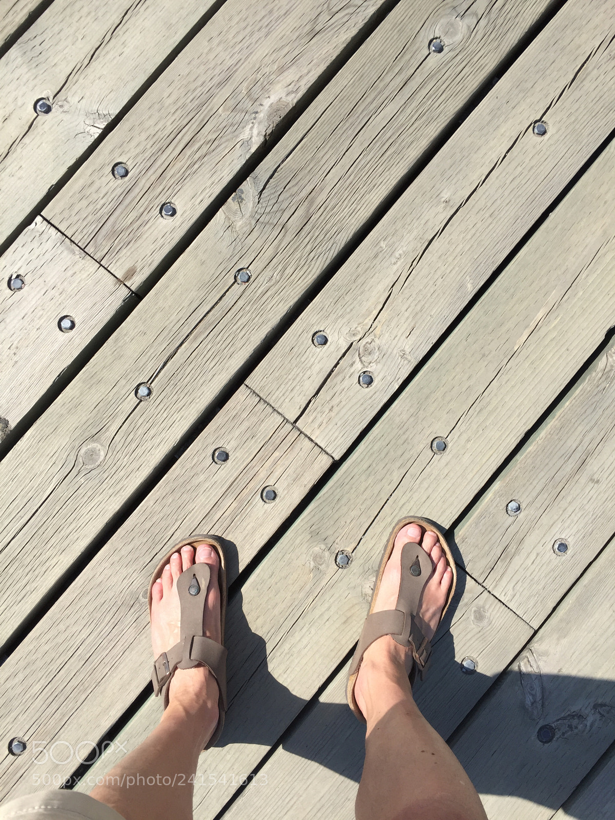 Apple iPhone 6 sample photo. 29421450483.jpg photography