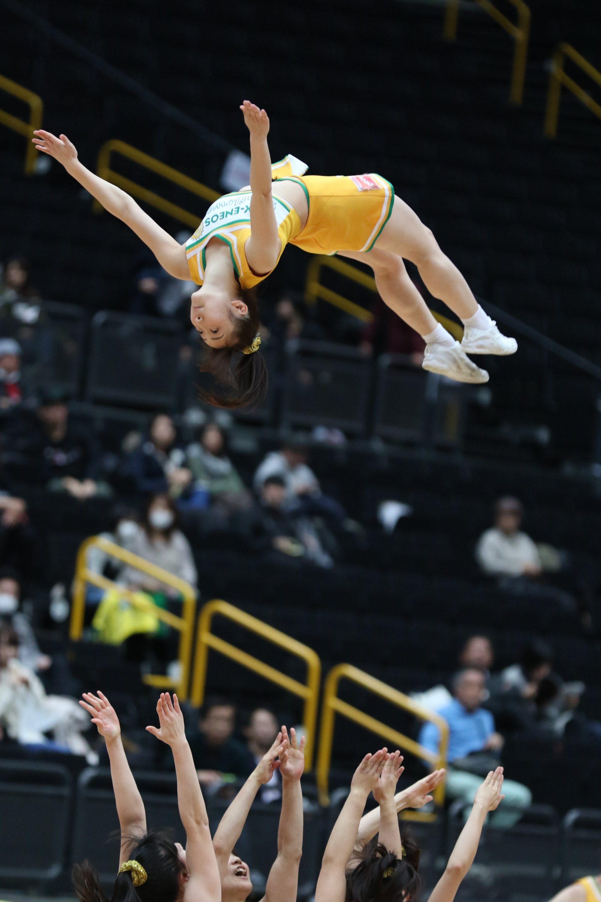 Canon EF 70-200mm F2.8L IS II USM sample photo. Fly high photography