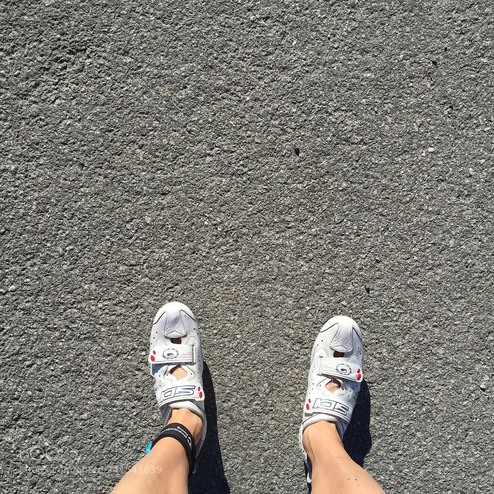 Apple iPhone 6 sample photo. 27840945875.jpg photography