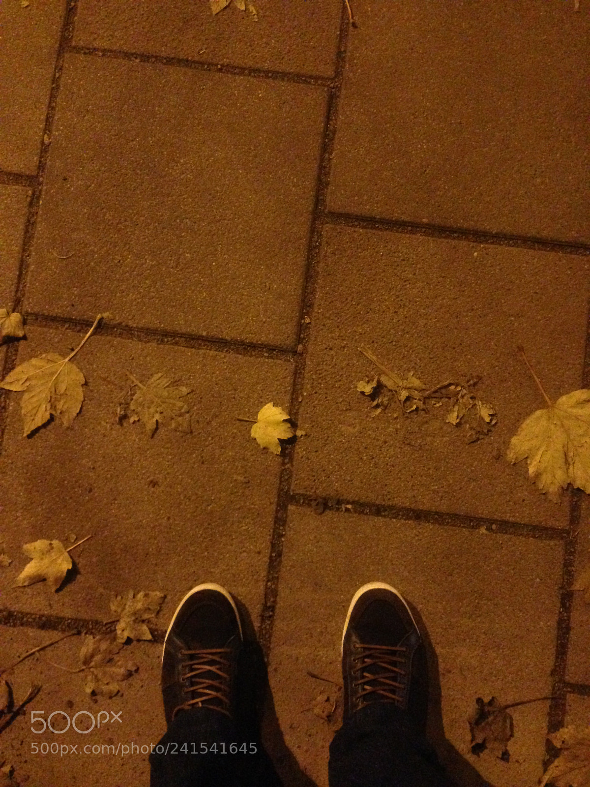 Apple iPhone 5 sample photo. 23398636793.jpg photography