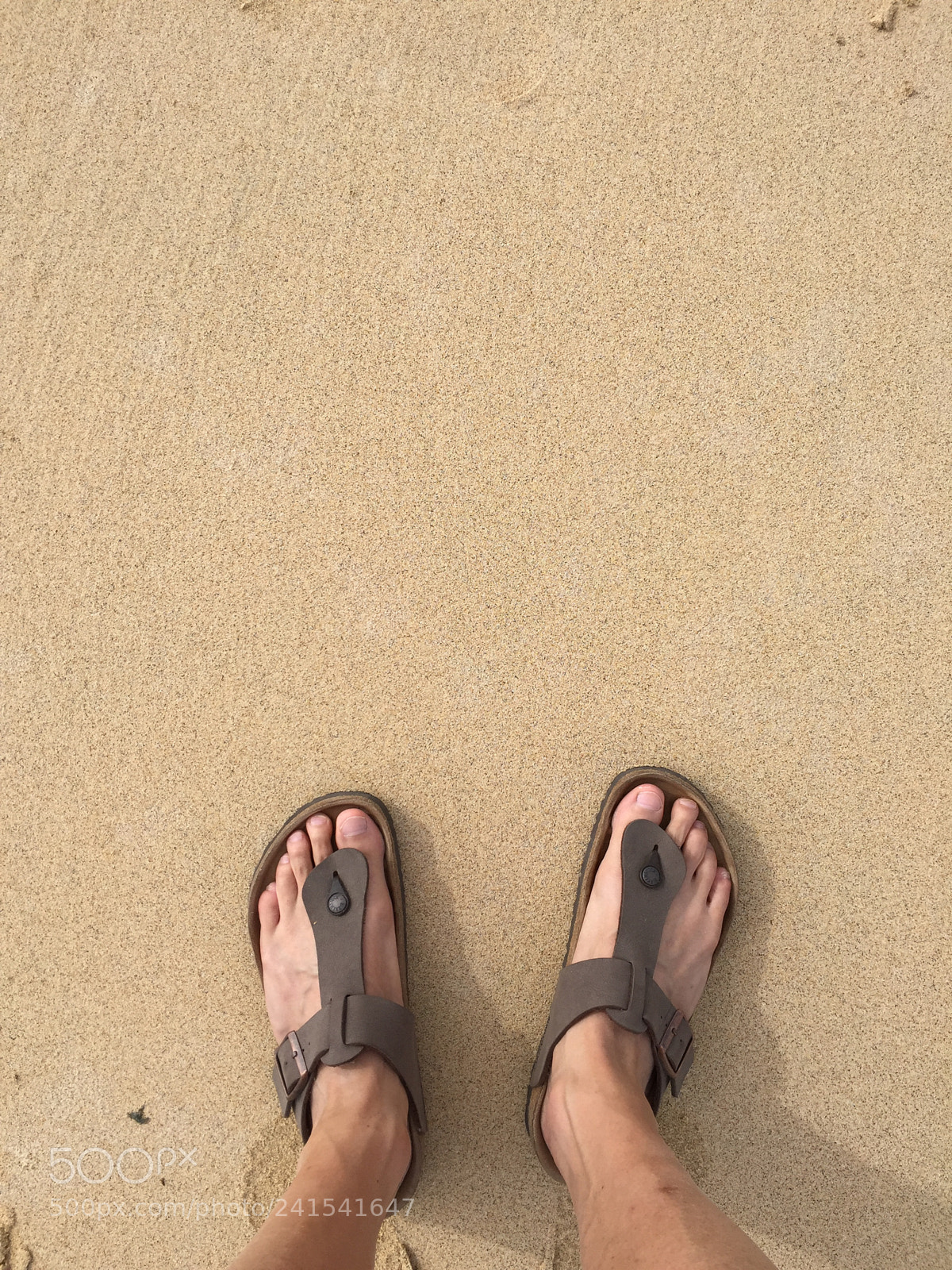 Apple iPhone 6 sample photo. 23917214662.jpg photography