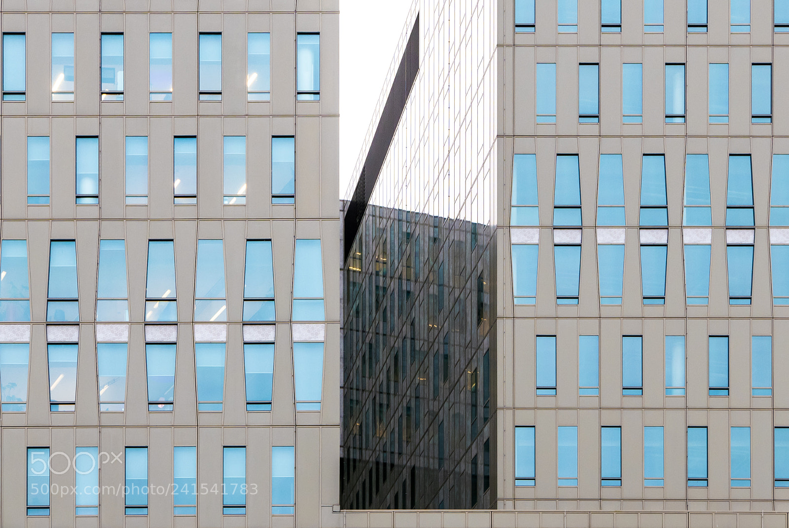 Panasonic Lumix DMC-LX100 sample photo. Office twins photography