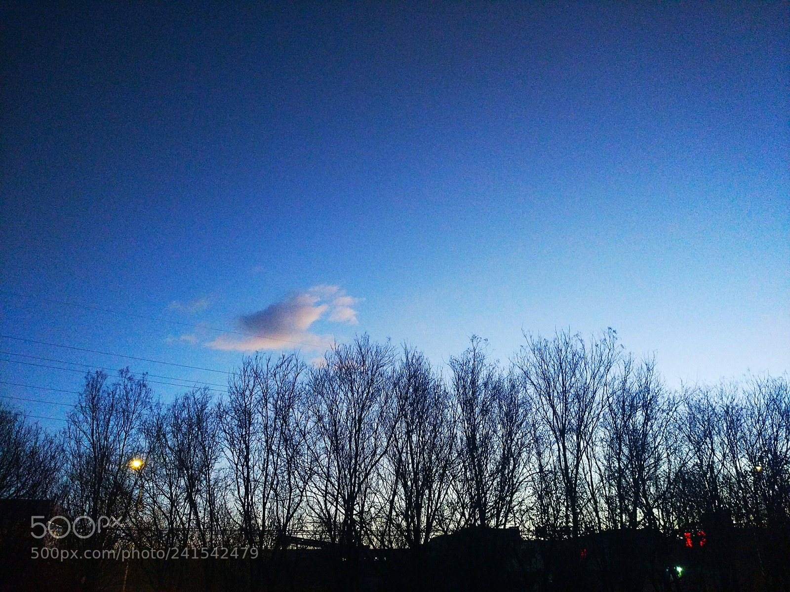 Xiaomi MI 5 sample photo. 冬日 photography