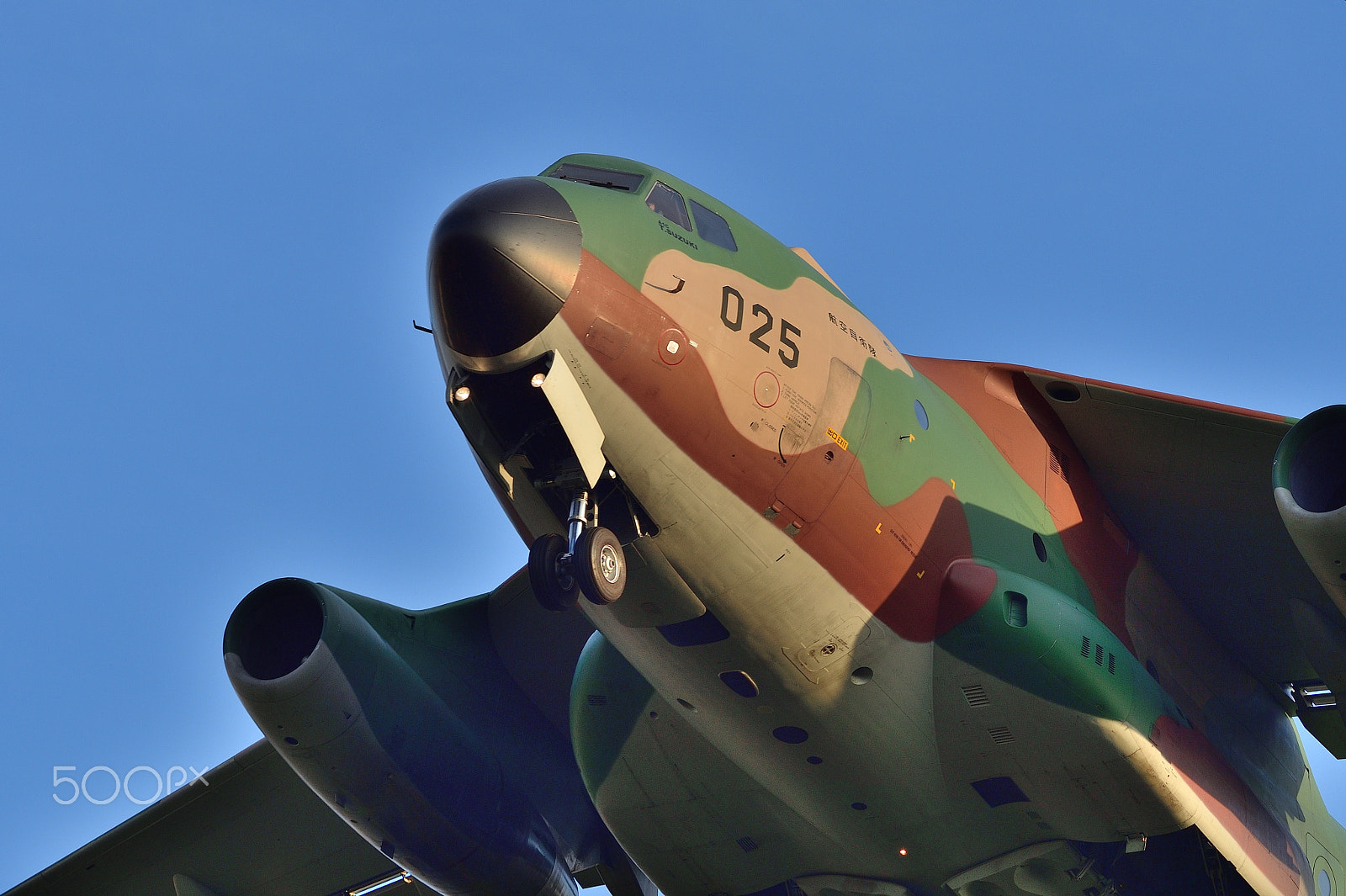 Nikon AF-S Nikkor 200-500mm F5.6E ED VR sample photo. C-1 landing photography