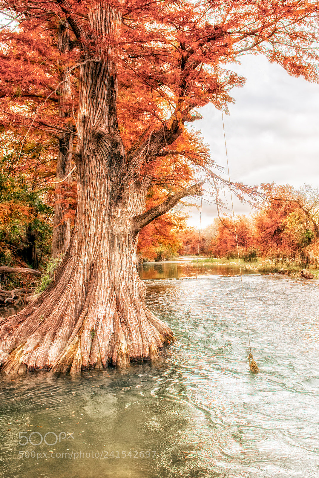 Nikon D810 sample photo. Guadalupe river in texas photography