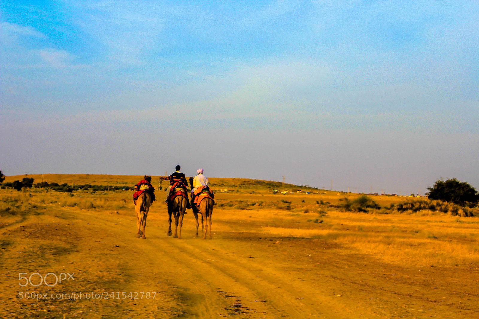Canon EOS 550D (EOS Rebel T2i / EOS Kiss X4) sample photo. On thar deserts img photography
