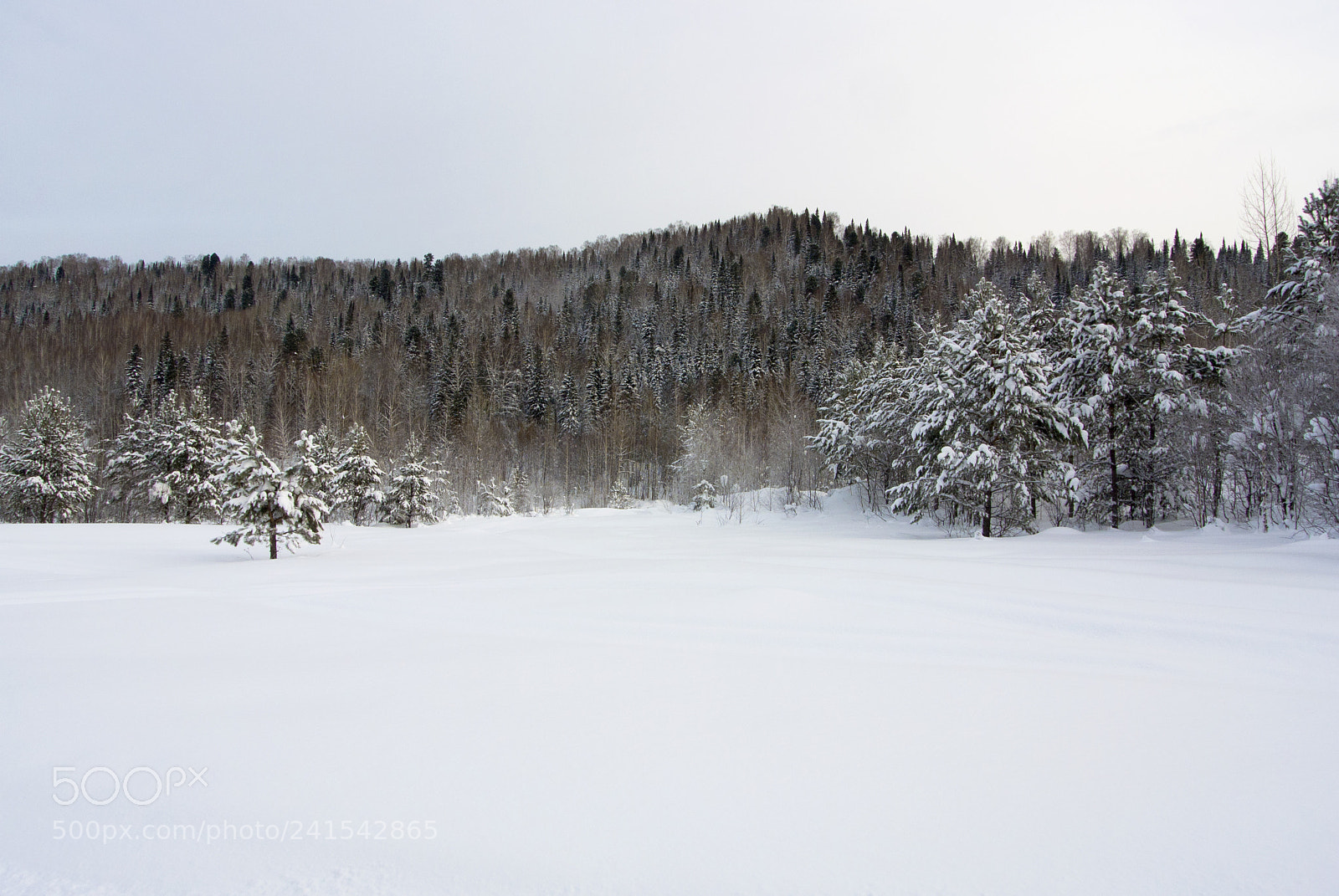 Nikon 1 V1 sample photo. Winter landscape photography