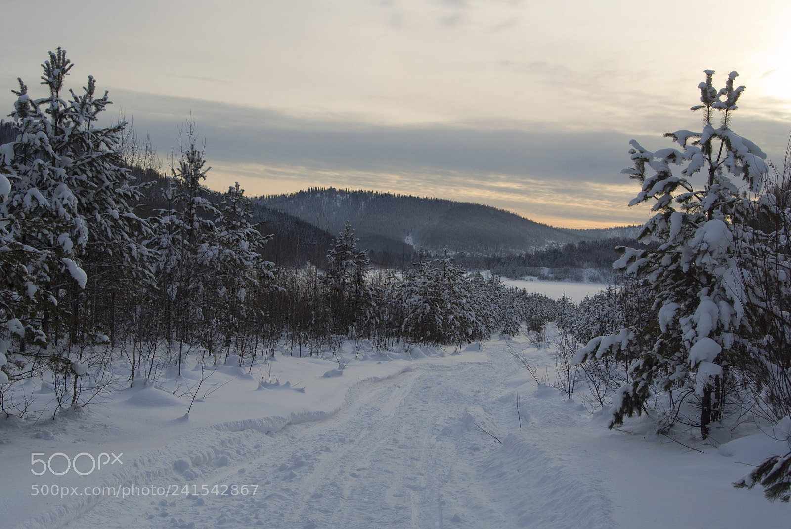 Nikon 1 V1 sample photo. Winter landscape photography