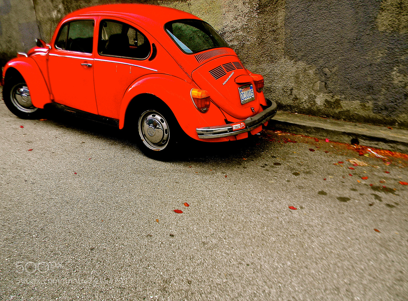Nikon Coolpix L110 sample photo. Red bug photography