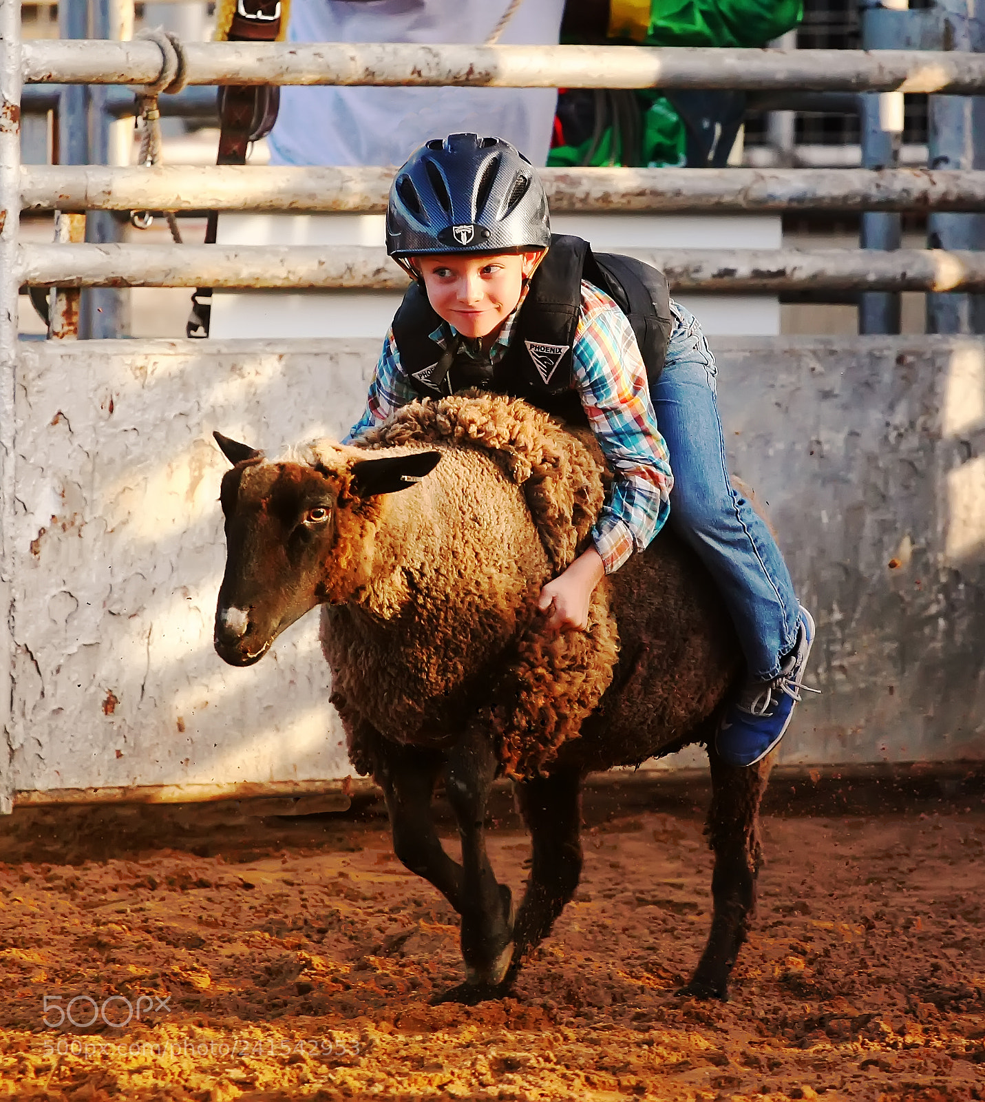 Canon EOS 450D (EOS Rebel XSi / EOS Kiss X2) sample photo. Mutton busting with a photography