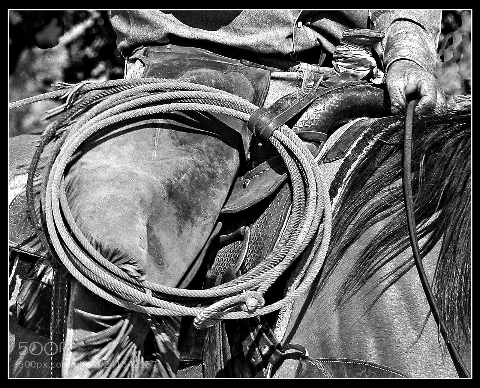 Canon EOS 450D (EOS Rebel XSi / EOS Kiss X2) sample photo. Hands and tools of photography