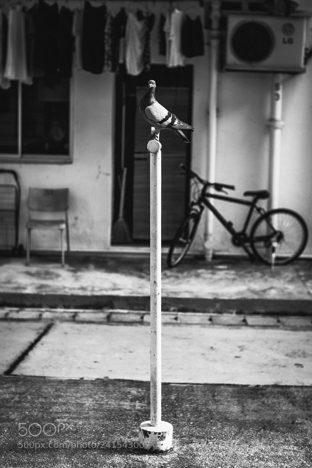 Leica M (Typ 240) sample photo. President photography