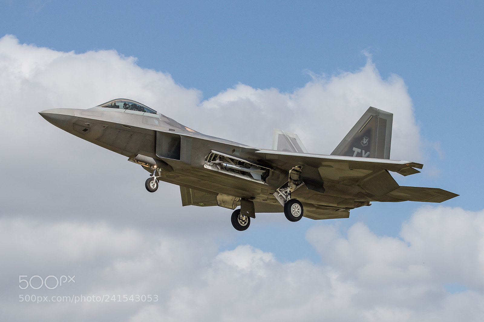 Canon EOS-1D X sample photo. F22 raptor photography