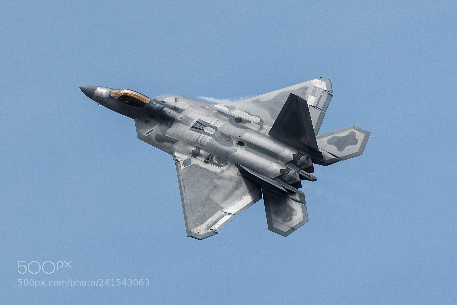 Canon EOS-1D X Mark II sample photo. F22 raptor photography