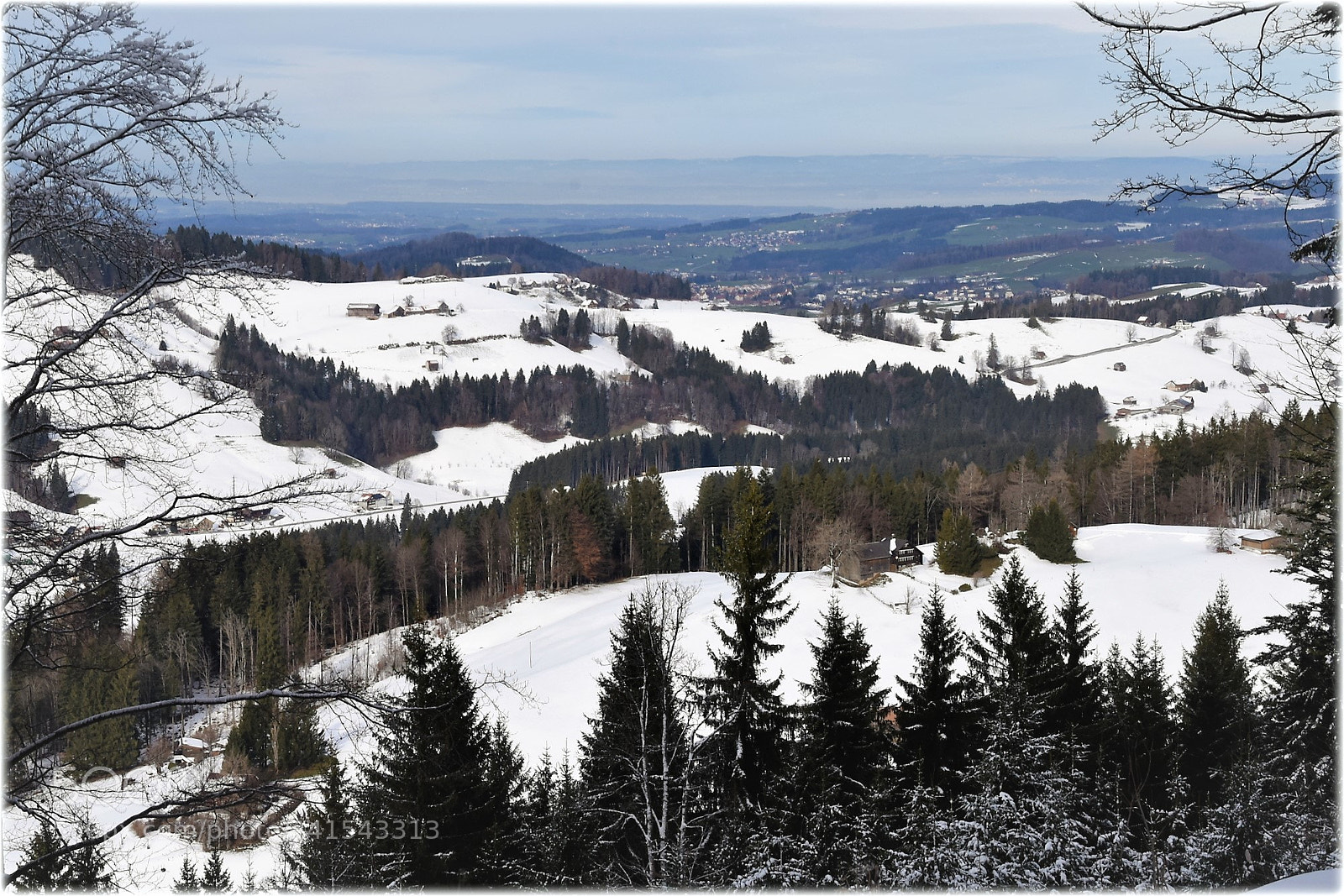 Nikon D810 sample photo. "winter*" photography