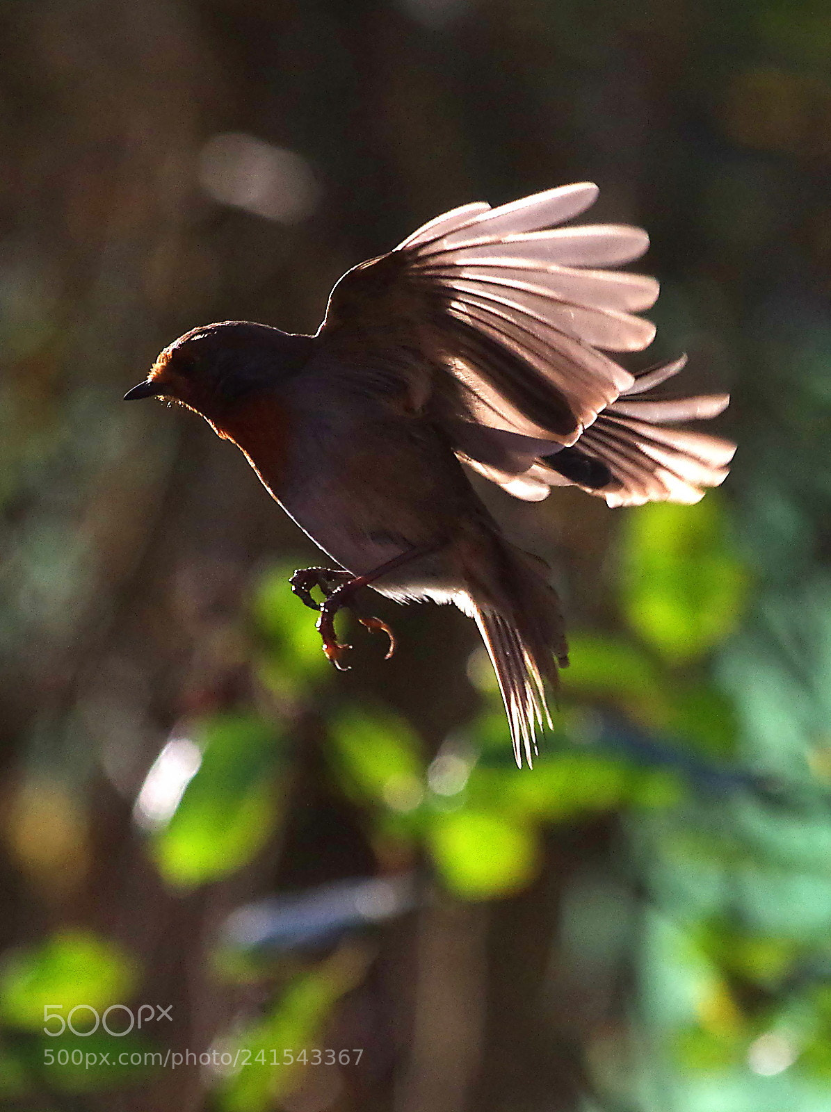 Pentax K-3 sample photo. Landing approach photography
