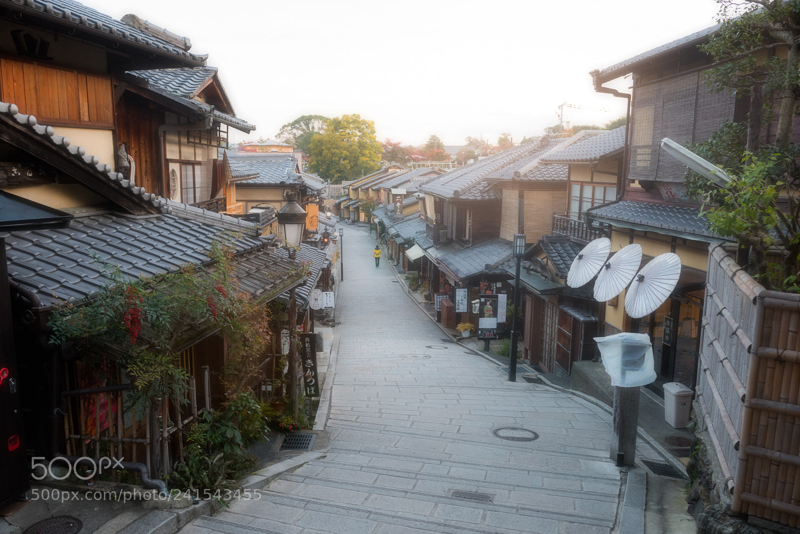 Nikon D810 sample photo. Gion photography