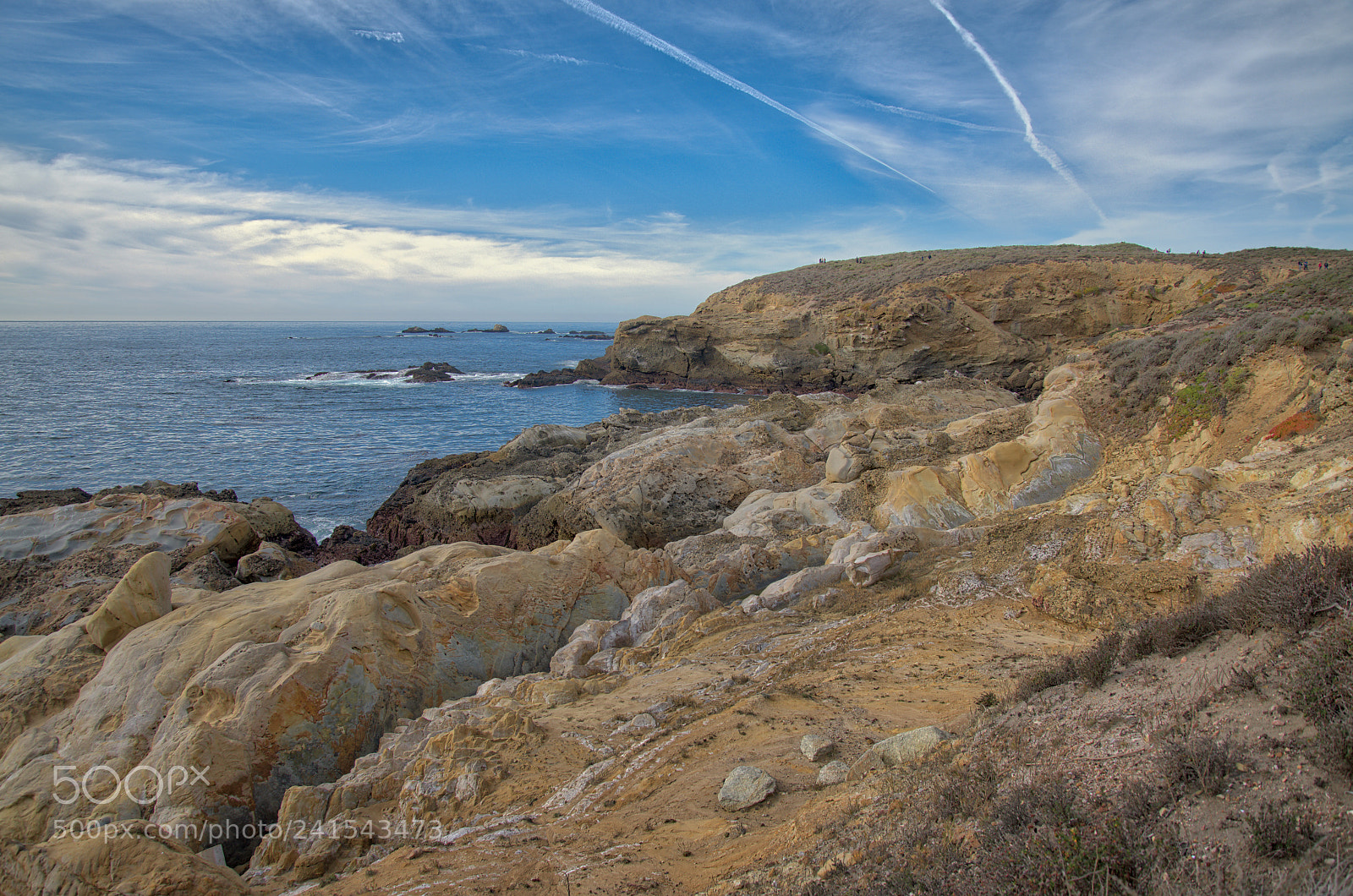 Nikon D850 sample photo. Point lobos photography