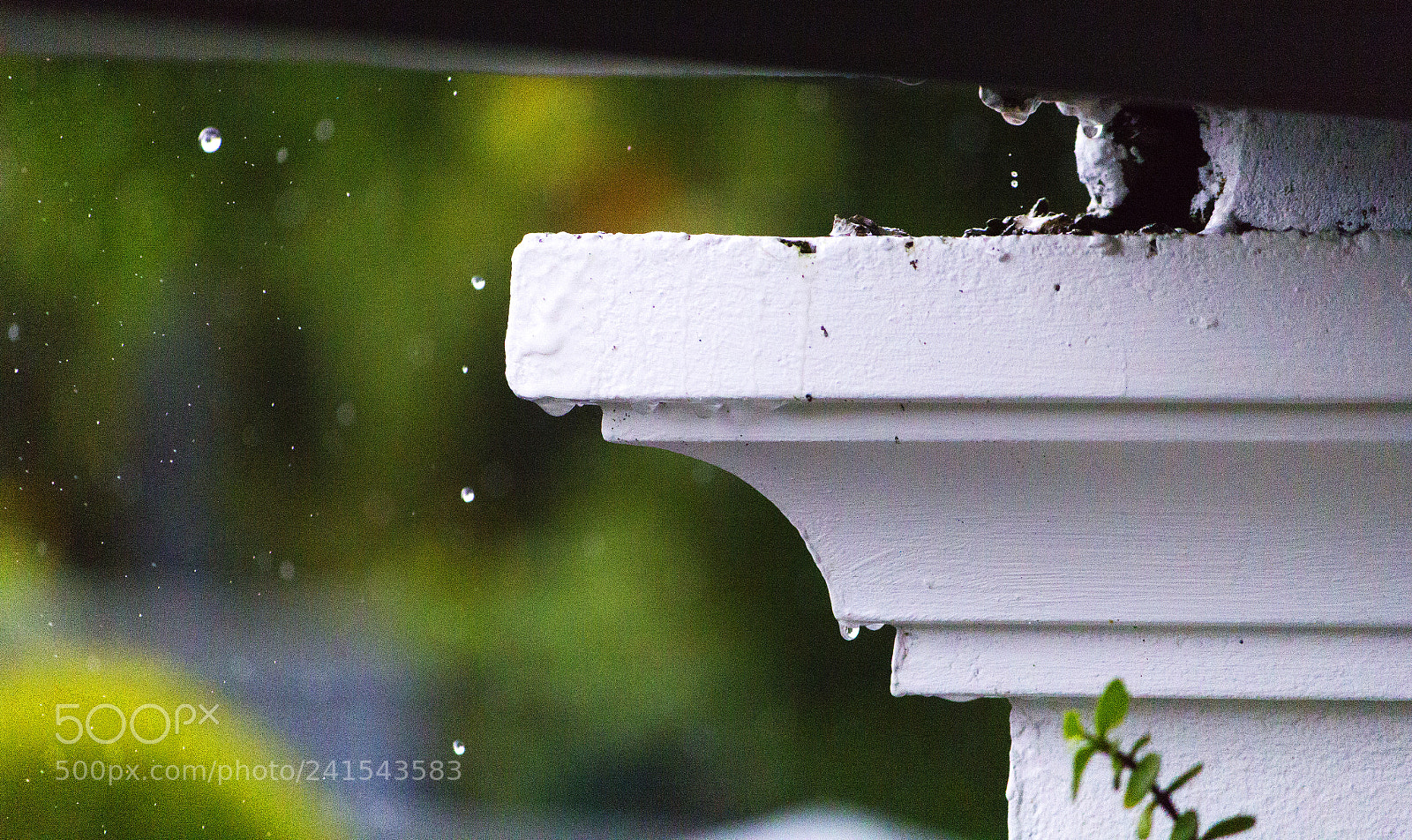 Canon EOS 60D sample photo. Little drops photography