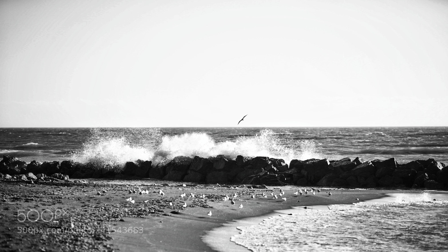 Sony a7 II sample photo. Mare photography