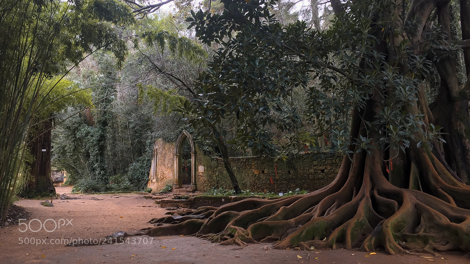 Apple iPhone 6 Plus sample photo. Fonte dos amores photography