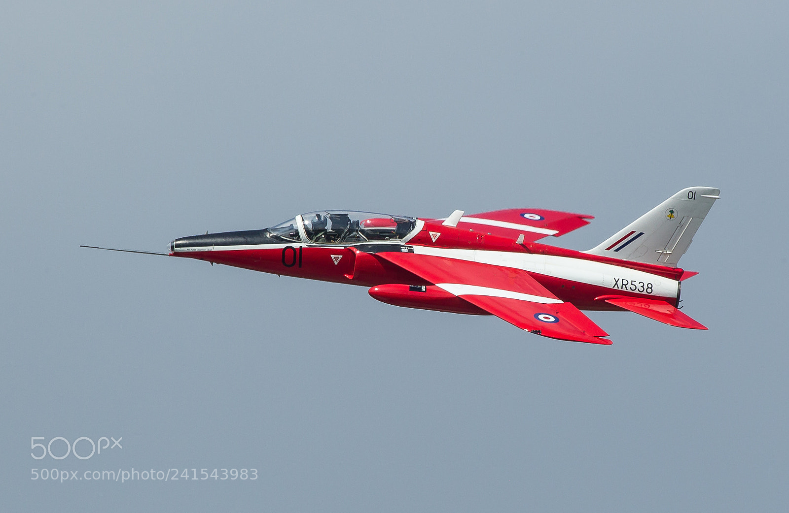 Canon EOS-1D Mark IV sample photo. Red gnat photography