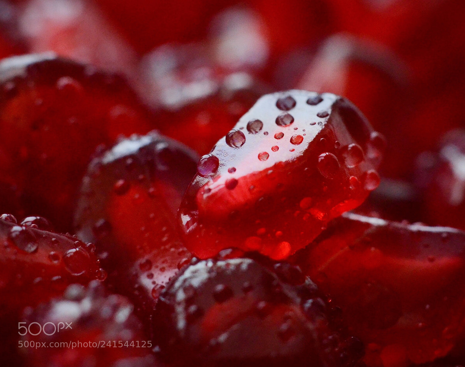 Nikon D3100 sample photo. Garnet photography
