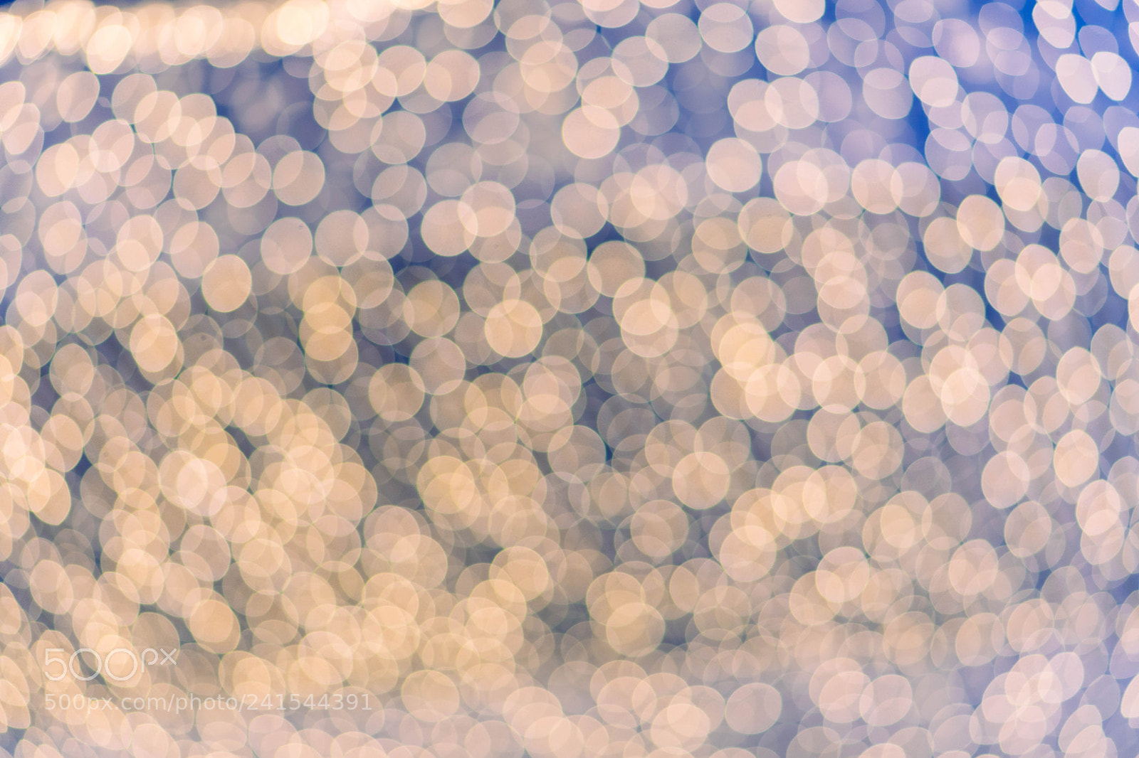 Sony a6300 sample photo. Bokeh photography