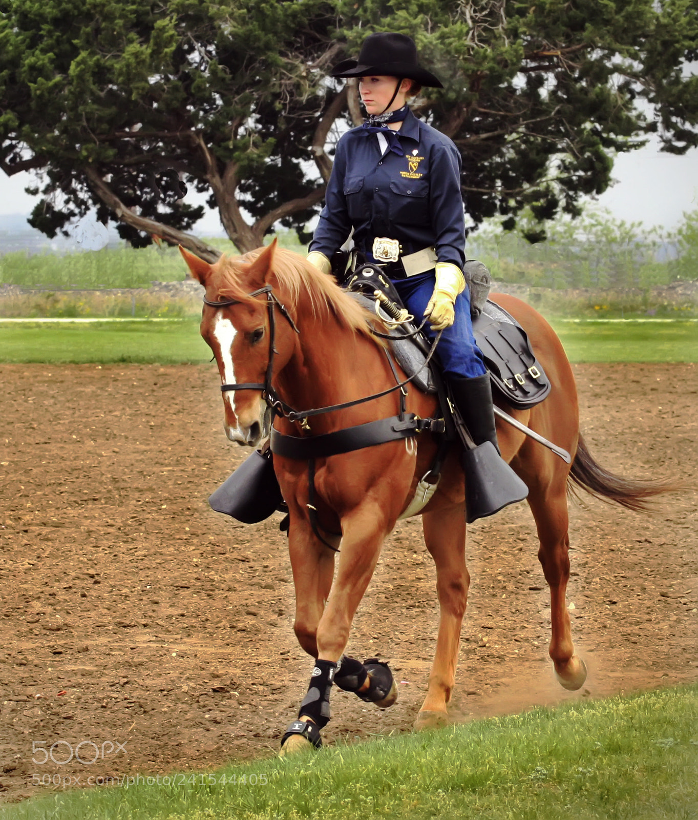Canon EOS 450D (EOS Rebel XSi / EOS Kiss X2) sample photo. The cavalry soldier sits photography