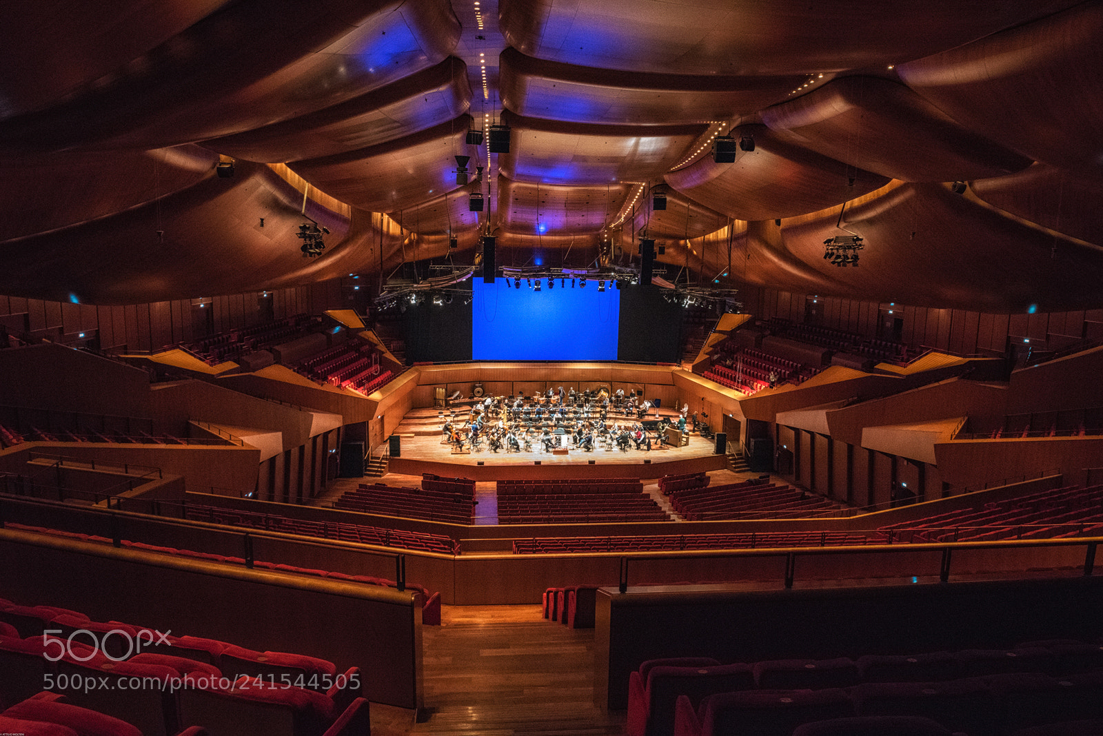 Nikon D810 sample photo. Auditorium parco della musica photography