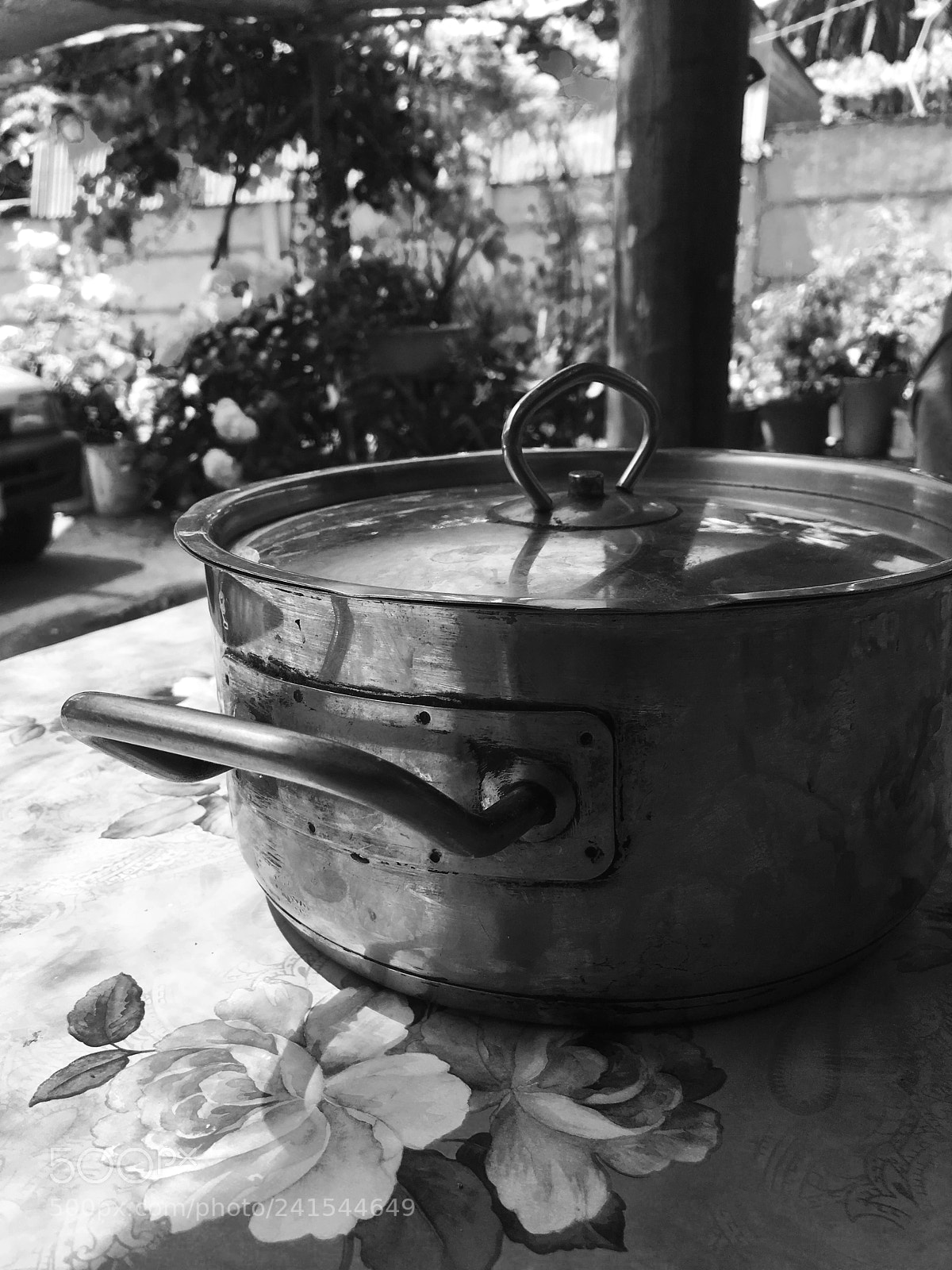 Apple iPhone SE sample photo. Olla de campo photography