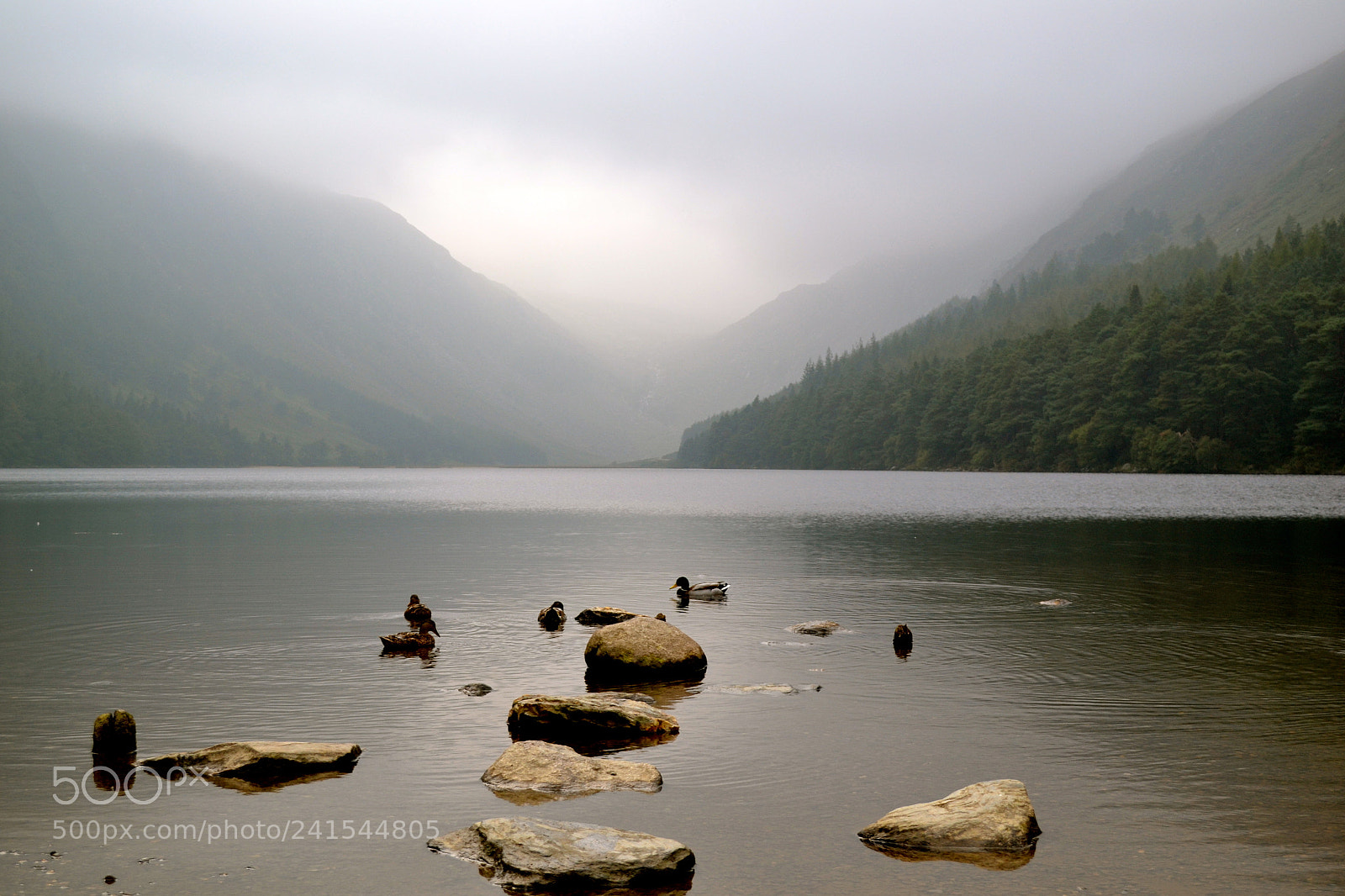 Nikon D3100 sample photo. Tranquil, untouched lough in photography