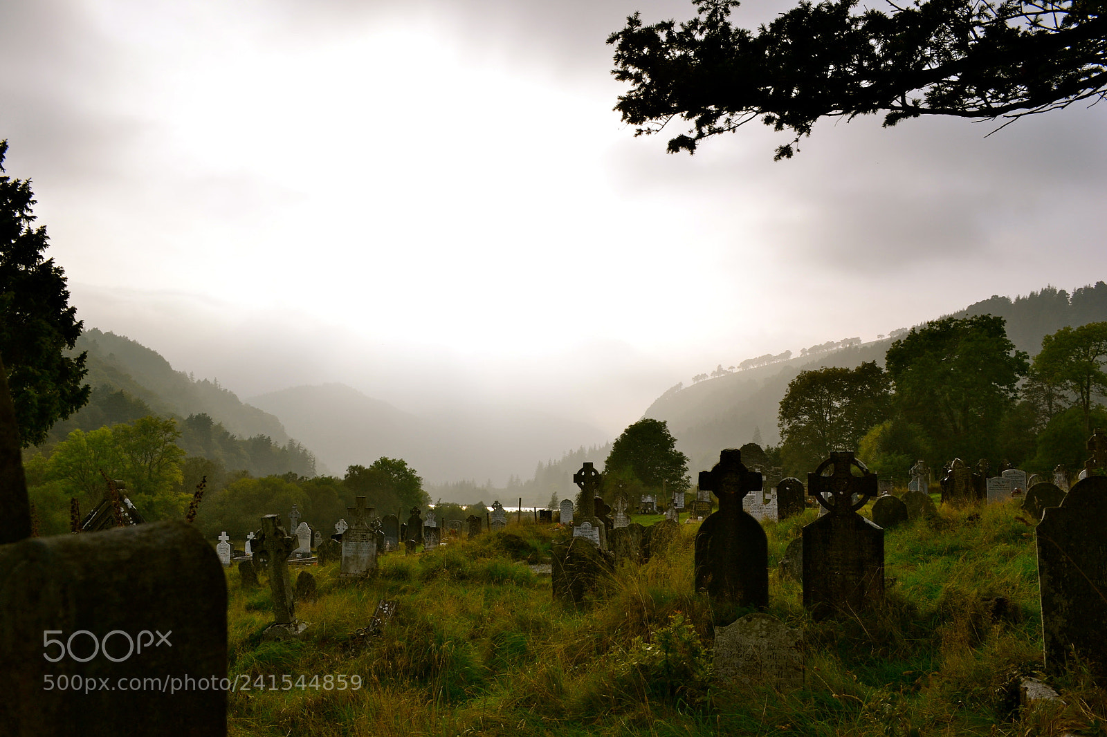 Nikon D3100 sample photo. Ancient cemetery and monastic photography