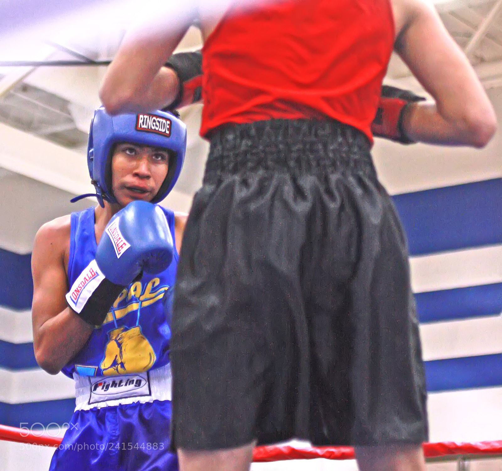 Canon EOS 450D (EOS Rebel XSi / EOS Kiss X2) sample photo. Still boxing photography