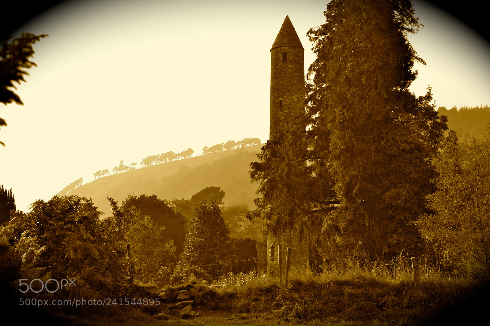 Nikon D3100 sample photo. Ancient cemetery and monastic photography
