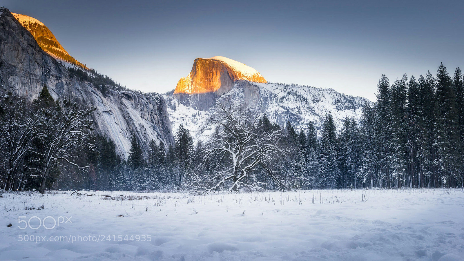 Nikon D800 sample photo. Yosemite calling photography