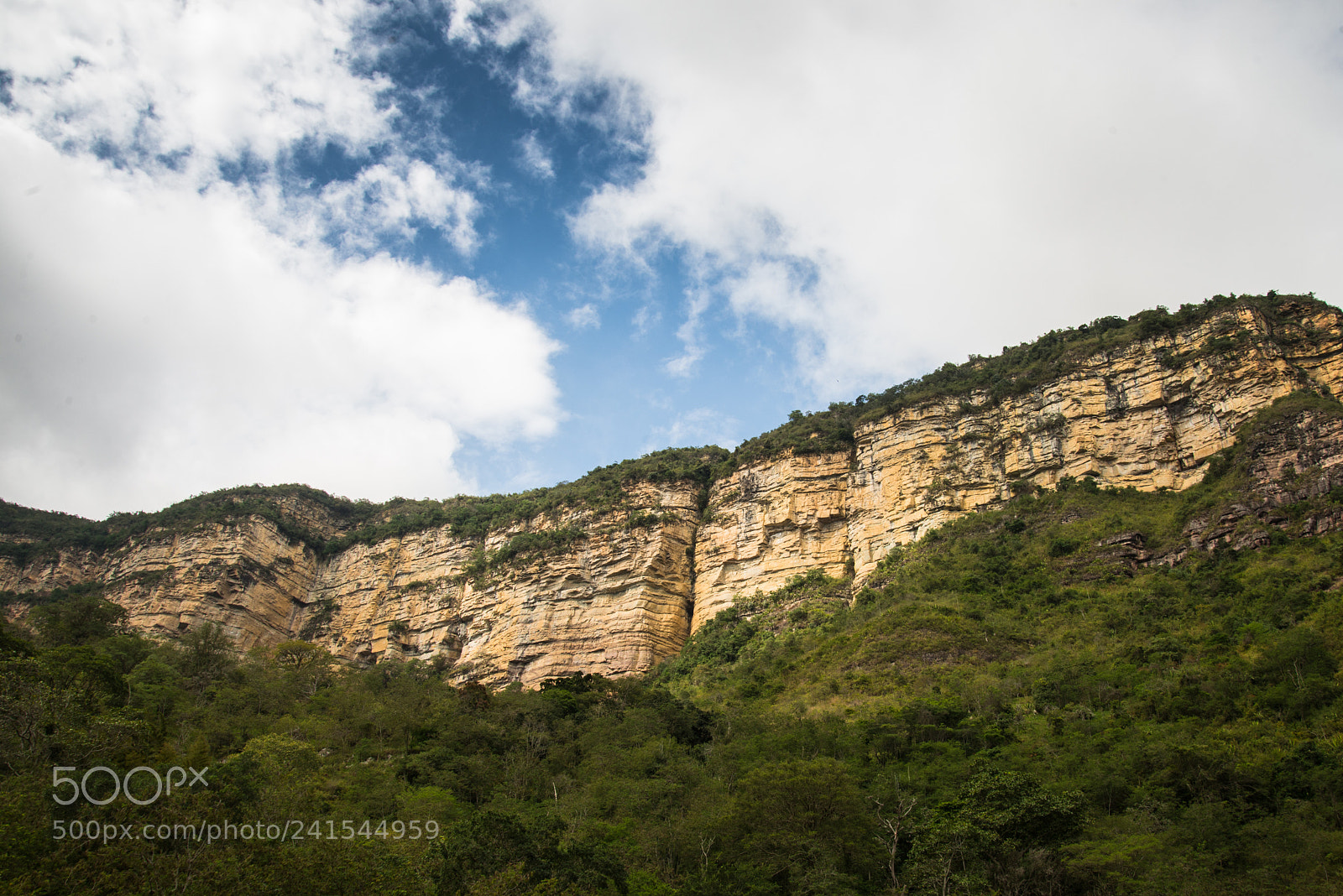 Nikon D600 sample photo. Colombia photography