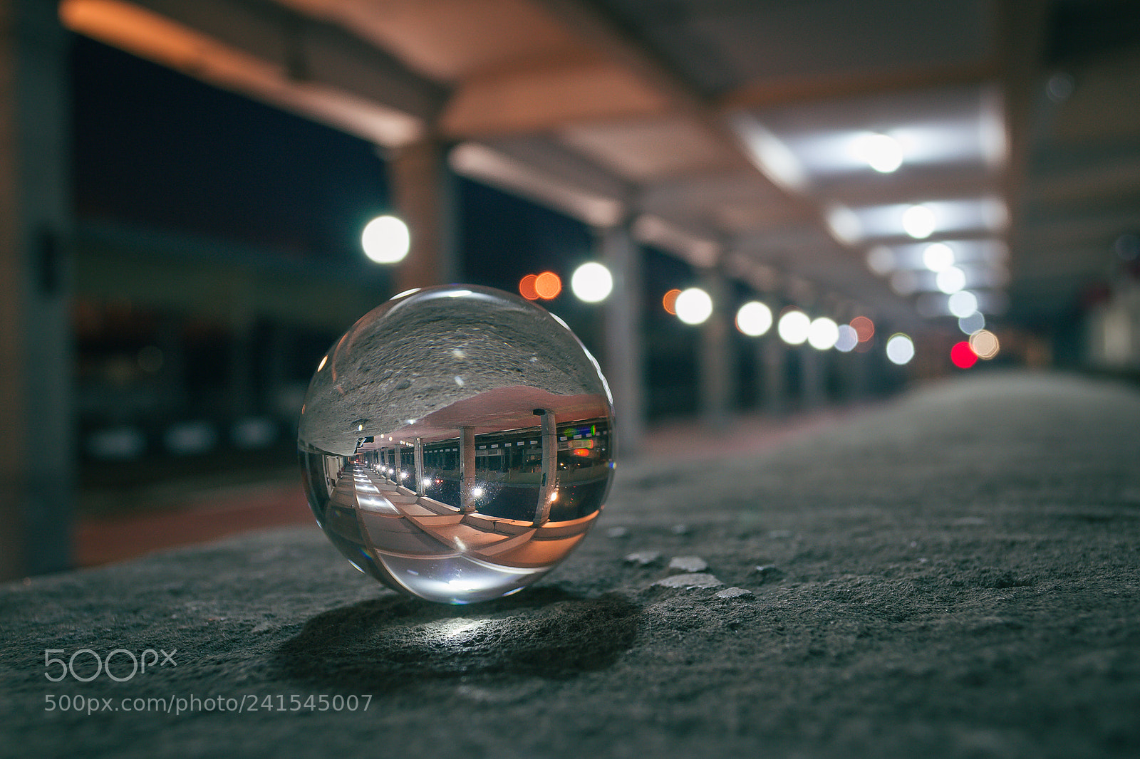 Nikon D3100 sample photo. Follow the light... photography