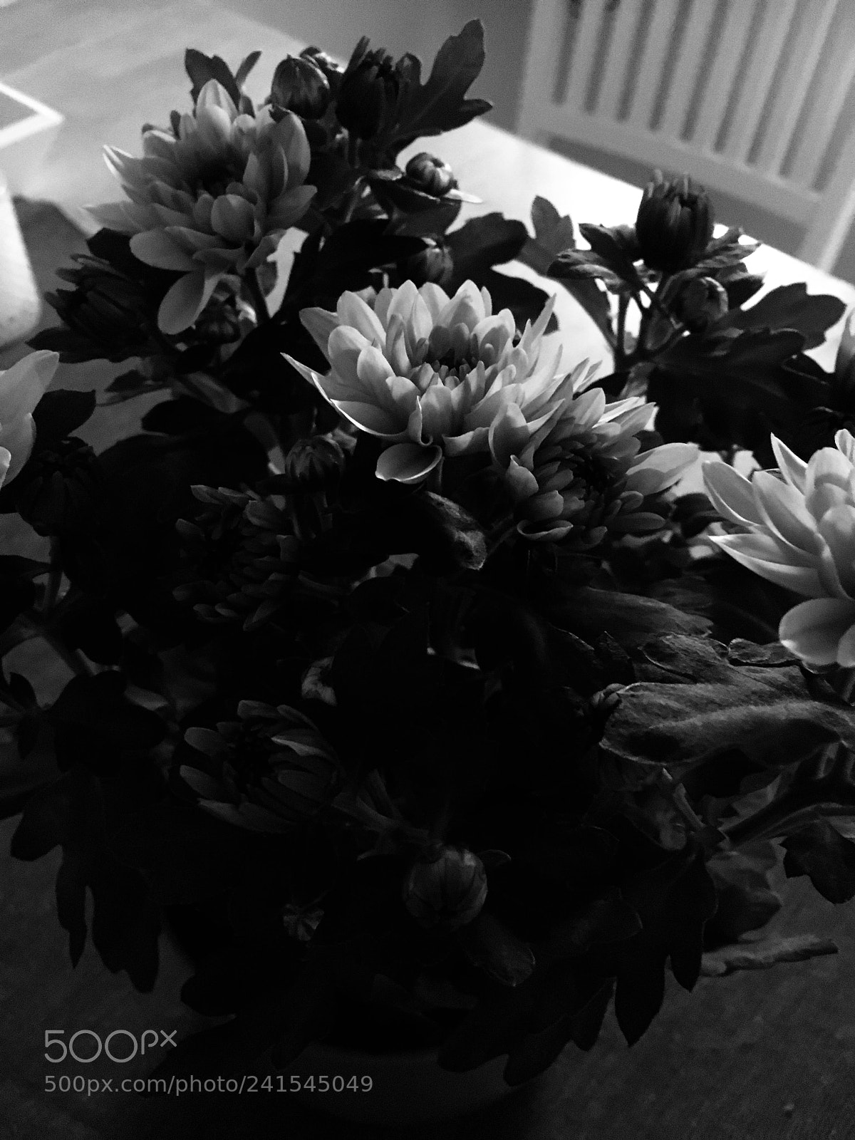 Apple iPhone 6s sample photo. Flowersinmyheart photography