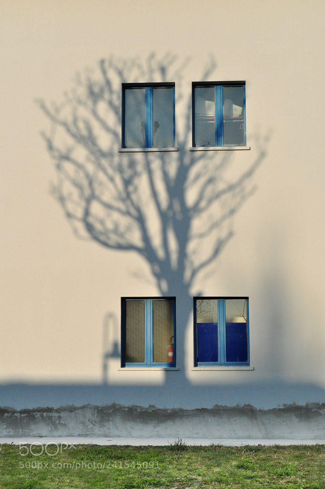 Nikon D5000 sample photo. Shadow photography