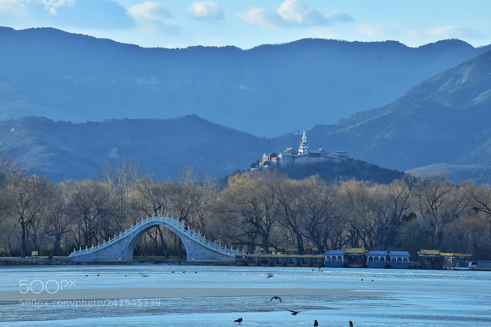 Nikon D4S sample photo. Summer palace photography