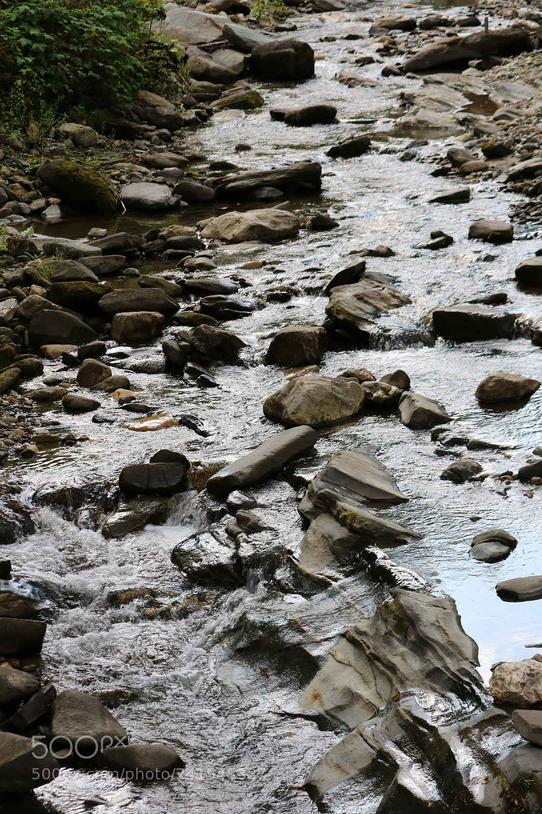 Canon EOS 750D (EOS Rebel T6i / EOS Kiss X8i) sample photo. Img photography