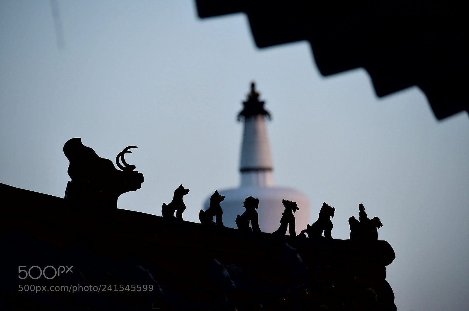 Nikon D4S sample photo. Beihai park photography