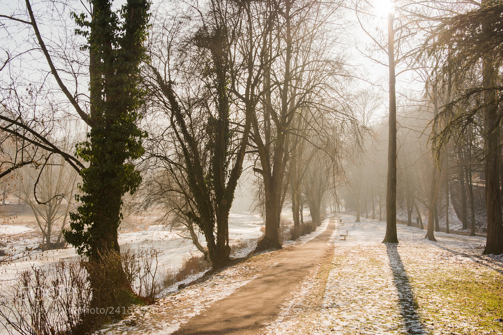 Nikon D810 sample photo. [ early one morning ] photography