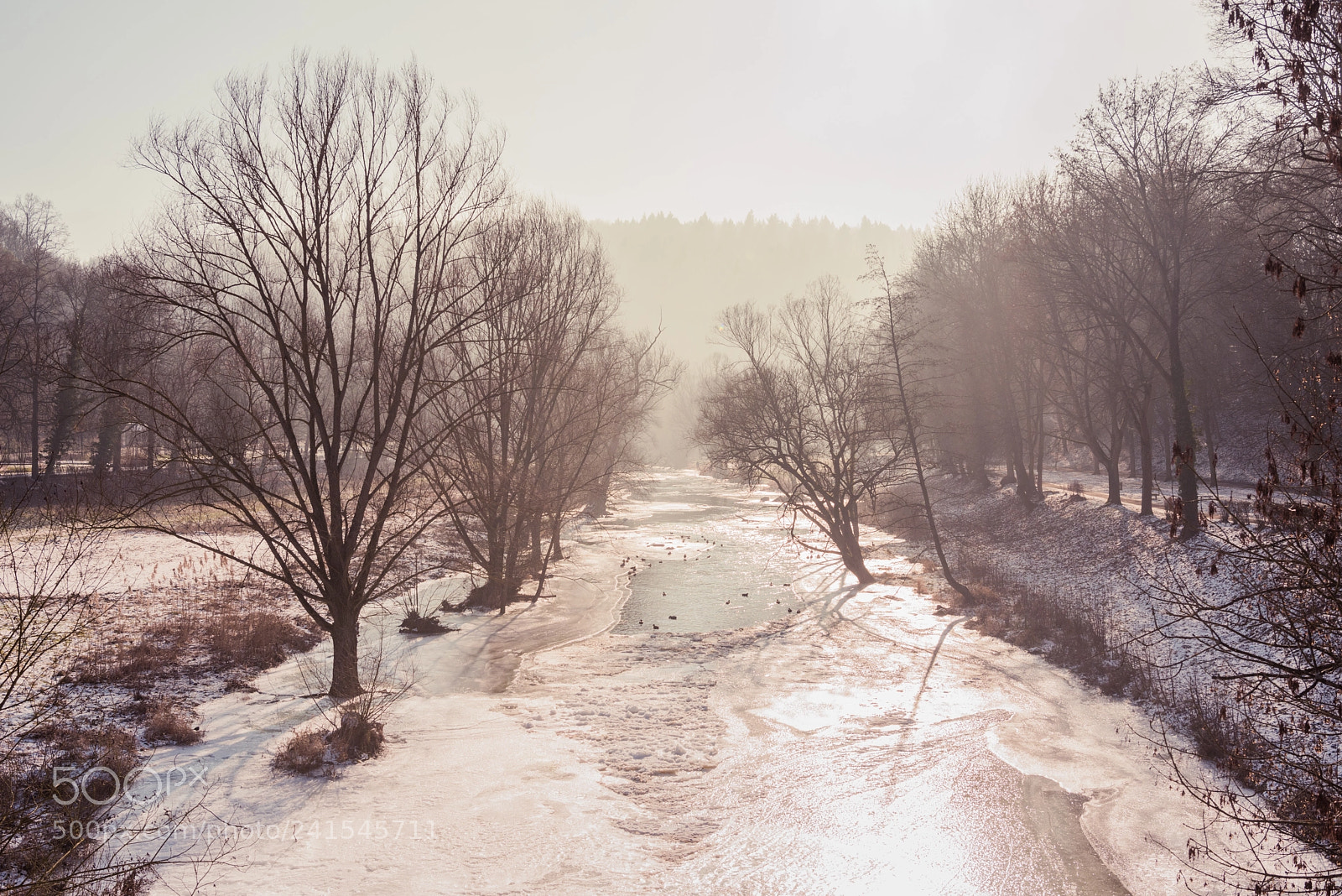 Nikon D810 sample photo. [ early one morning ] photography