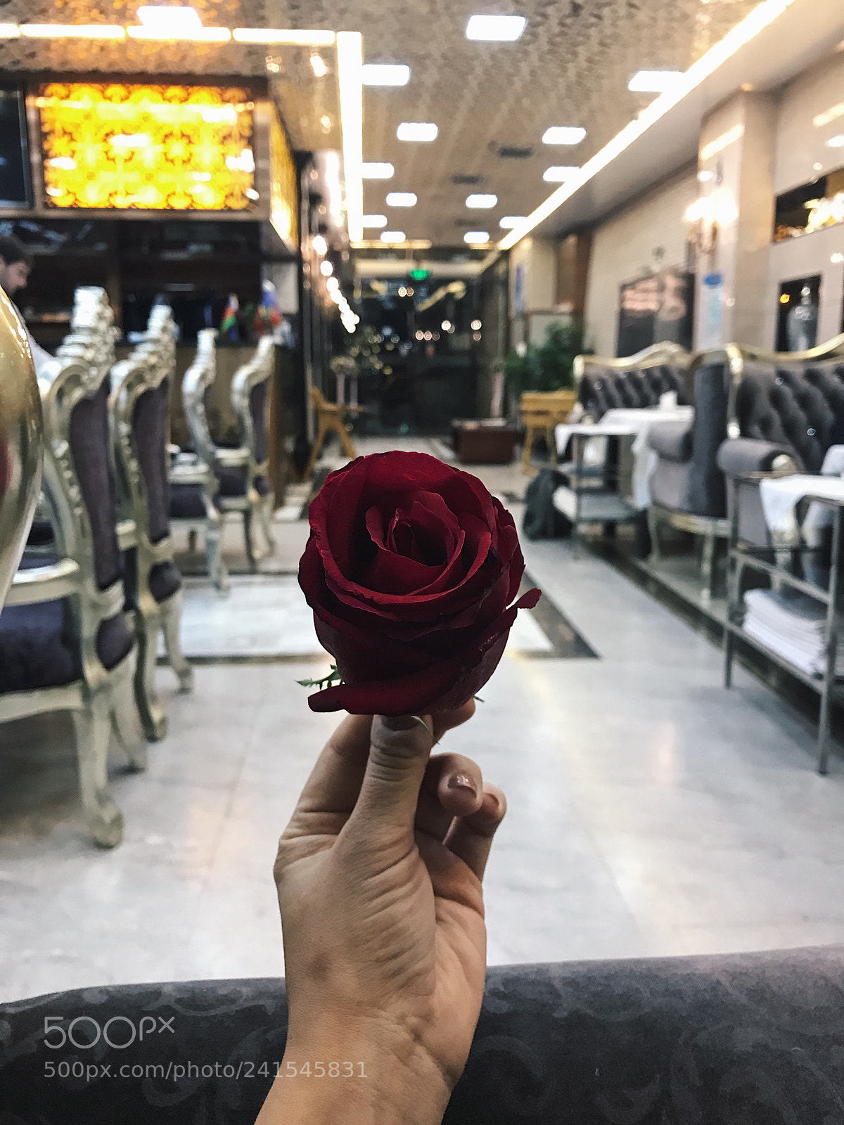 Apple iPhone 7 Plus sample photo. Untitled photography