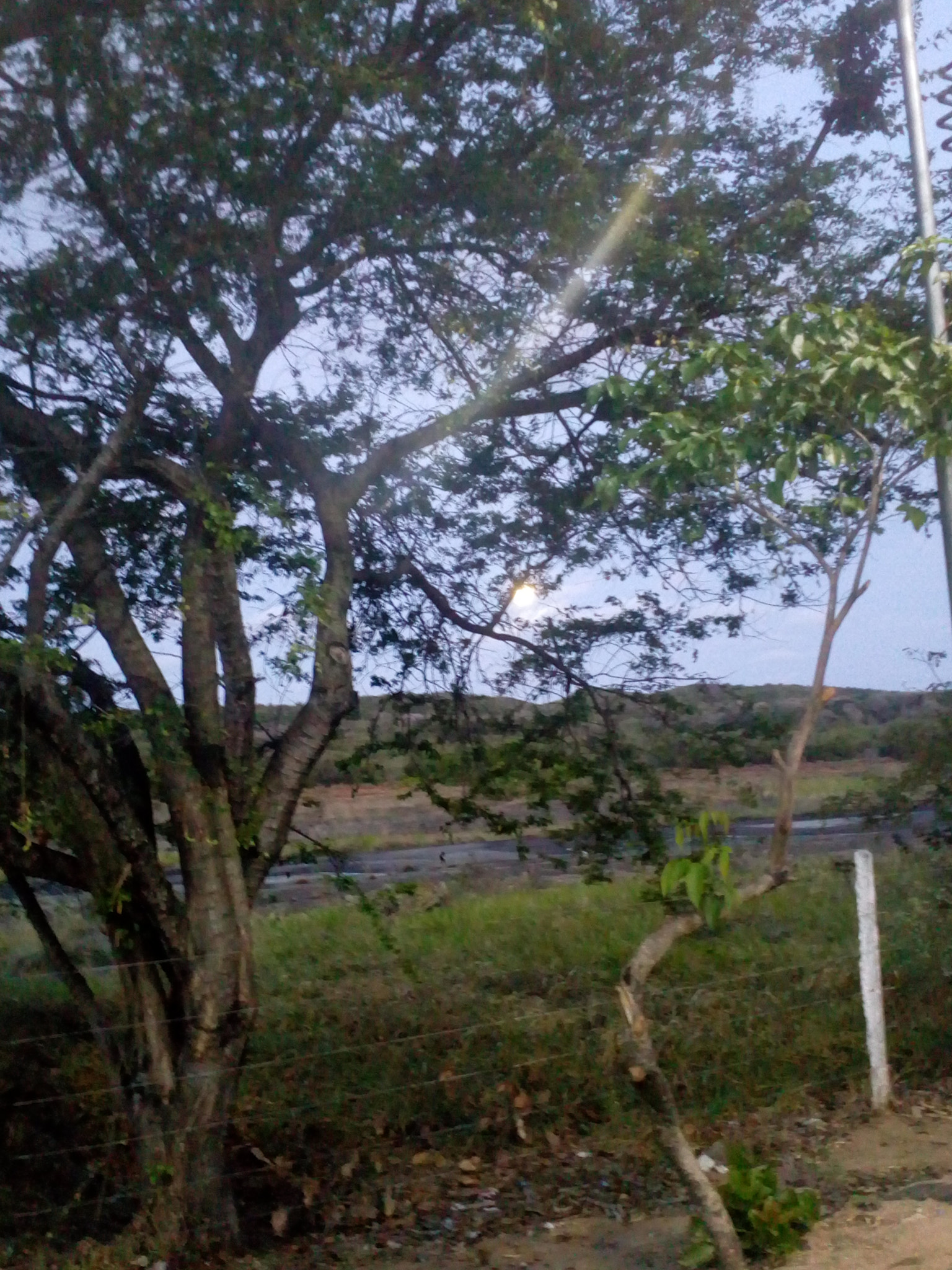 Lenovo VIBE K10 sample photo. Natal photography