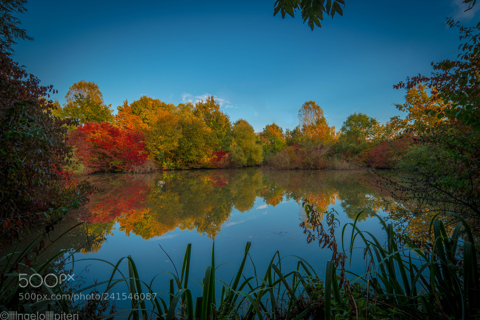 Samsung NX1 sample photo. Colorful autumn (1 von 1) photography
