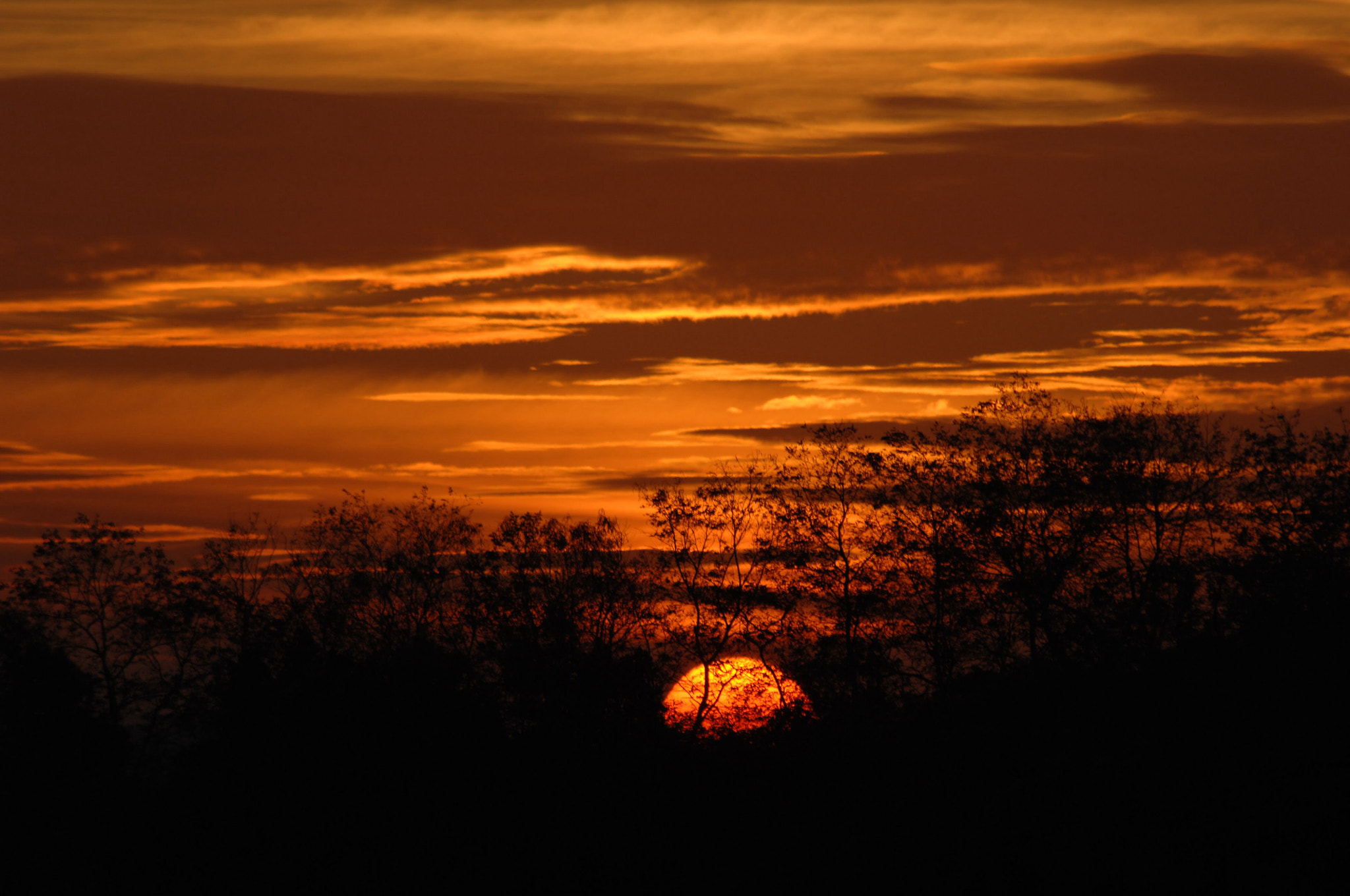 Nikon D2Xs sample photo. Vietnam photography